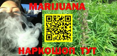 гидропоника Можга