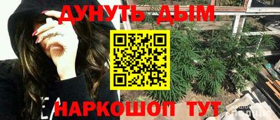 гидропоника Можга