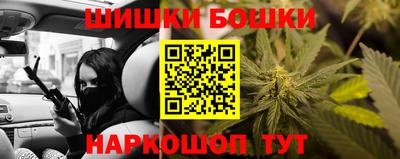гидропоника Можга
