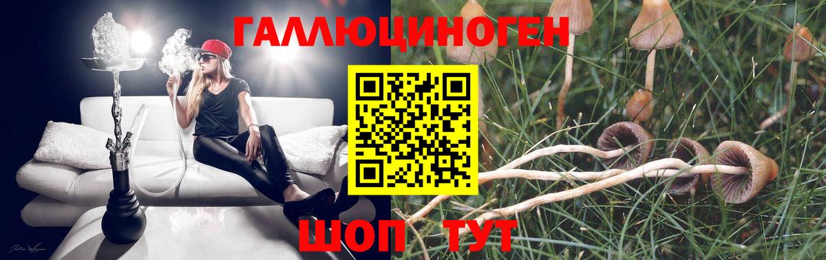 Псилоцибиновые грибы Psilocybine cubensis  Галлюциногенные грибы Magic Shrooms  Вход с VPN  Славгород 