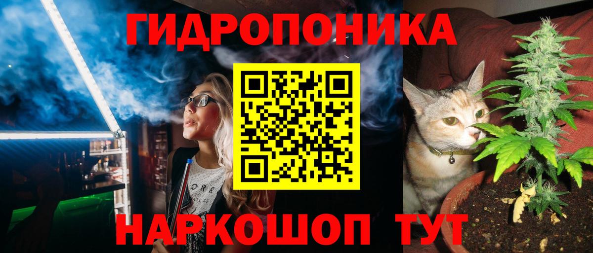 Конопля сатива Славгород