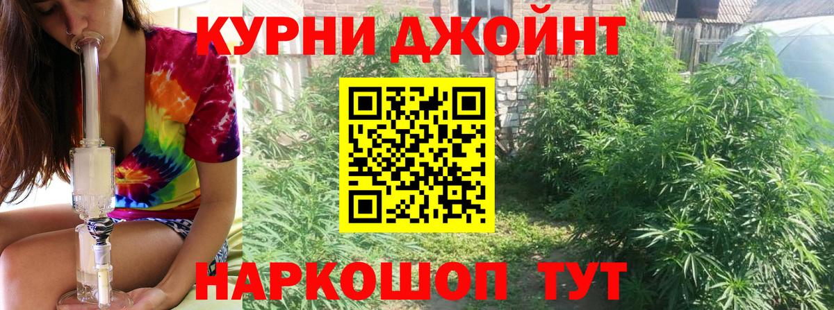 Марихуана марихуана  Бошки марихуана план  Славгород  Вход с VPN  Конопля SATIVA & INDICA 